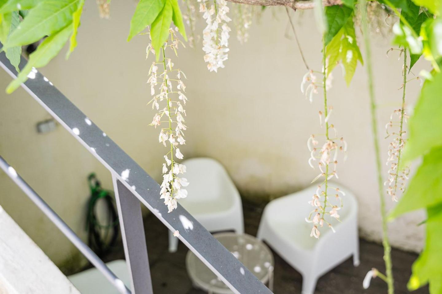 Guestready - Costa Cabral Guesthouse Porto Kültér fotó